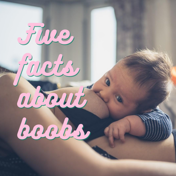 5 Fab Facts About Boobs